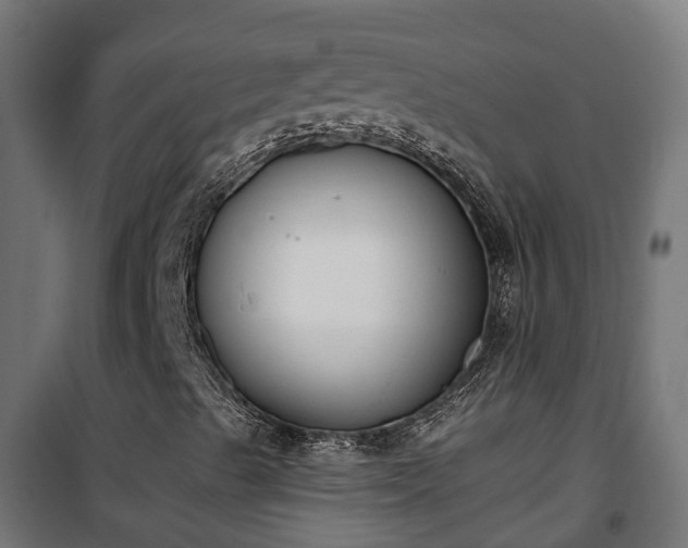 X0000101401489200807141144