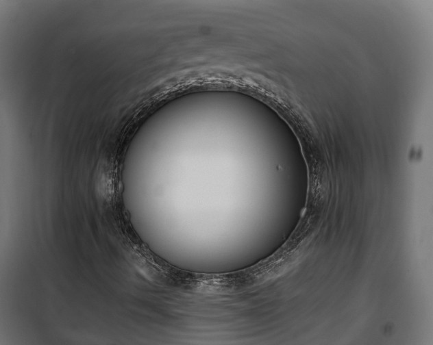 X0000101401490200807141144