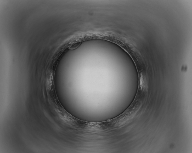 X0000101401492200807141144