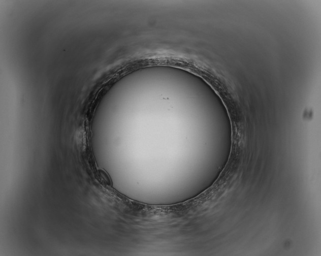 X0000101401493200807141144