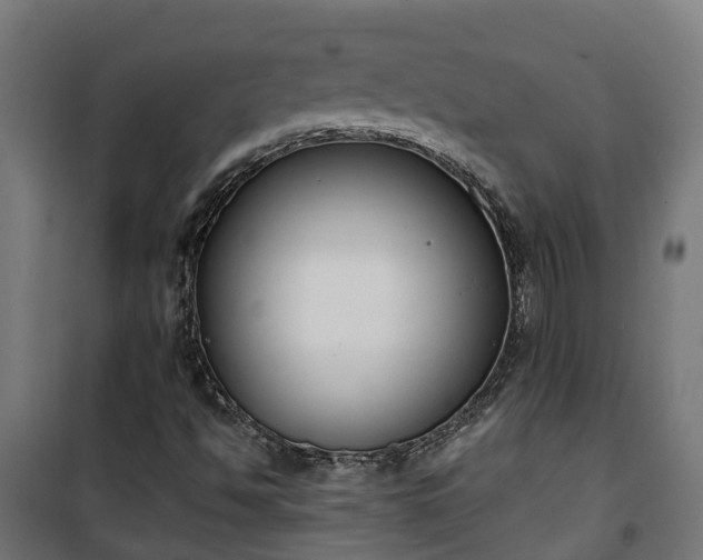 X0000101401494200807141144