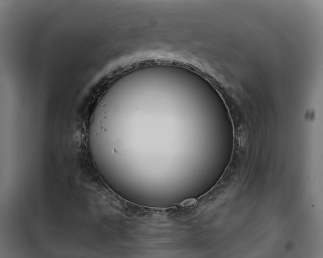 X0000101401495200807141144