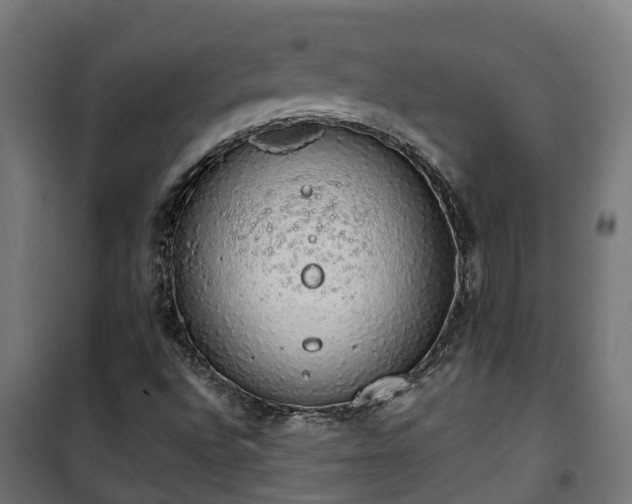 X0000101401496200807141144