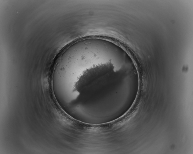 X0000101401497200807141144