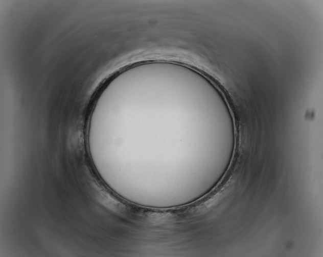 X0000101401498200807141144