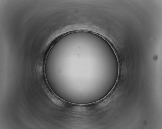 X0000101401499200807141144