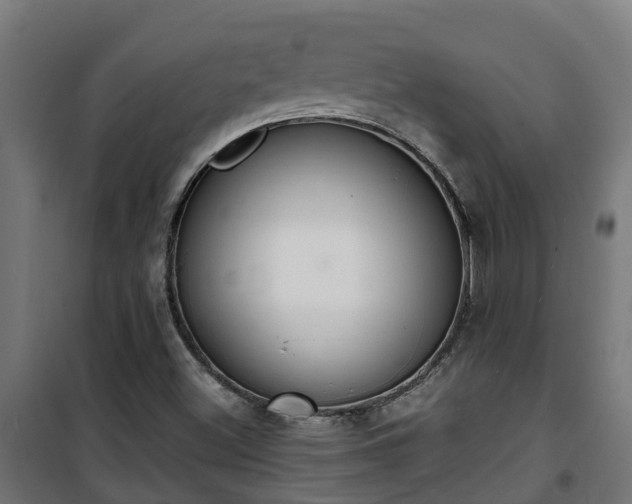 X0000101401500200807141144