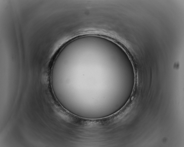 X0000101401501200807141144