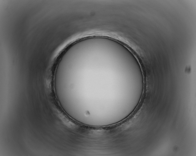 X0000101401502200807141144