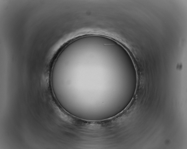 X0000101401503200807141144