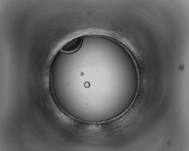 X0000101401504200807141144