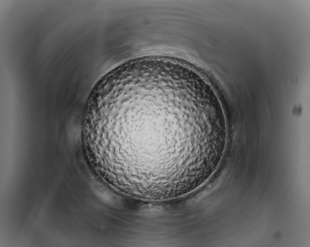 X0000101401505200807141144