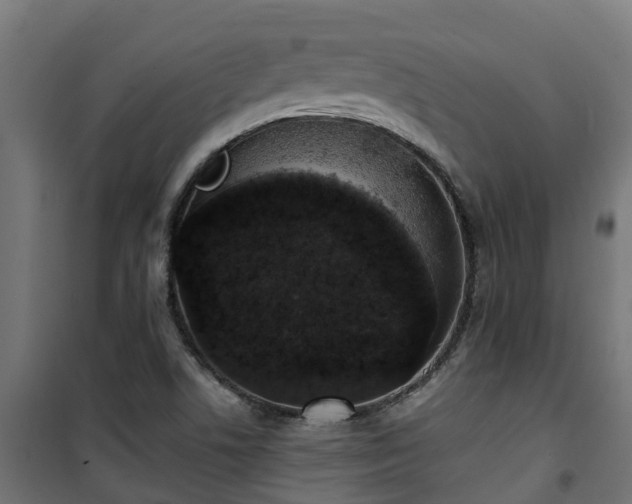 X0000101401506200807141144