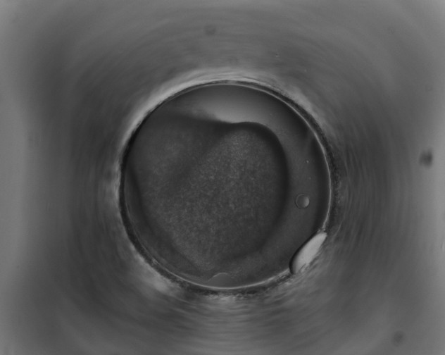 X0000101401508200807141144