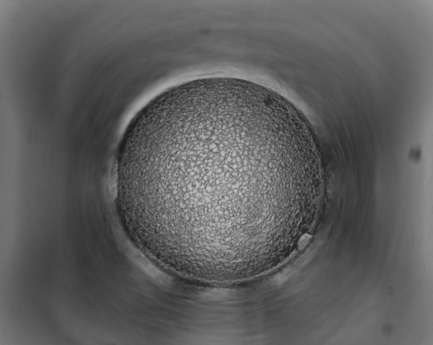 X0000101401510200807141144