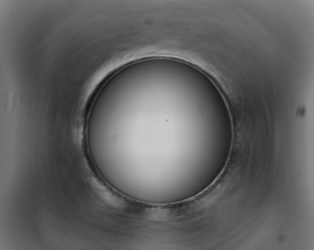 X0000101401511200807141144