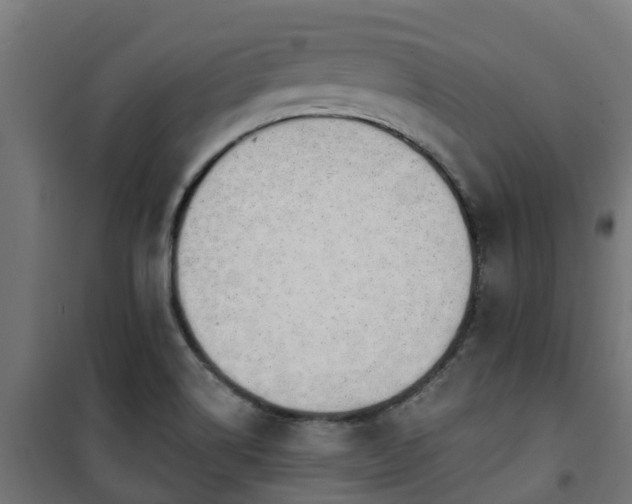 X0000101401514200807141144