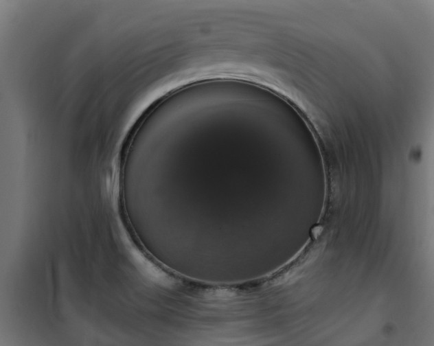 X0000101401515200807141144