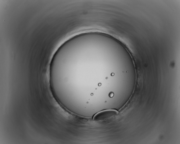 X0000101401516200807141144