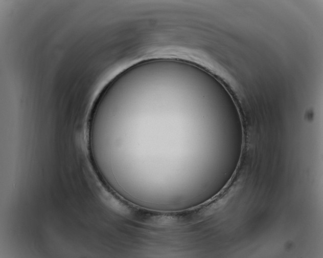 X0000101401517200807141144