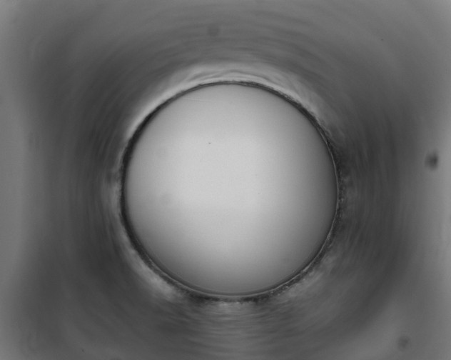 X0000101401518200807141144