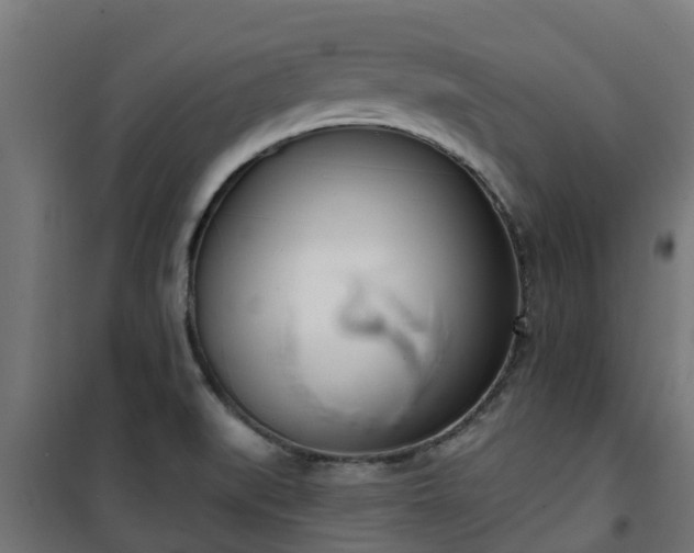 X0000101401519200807141144