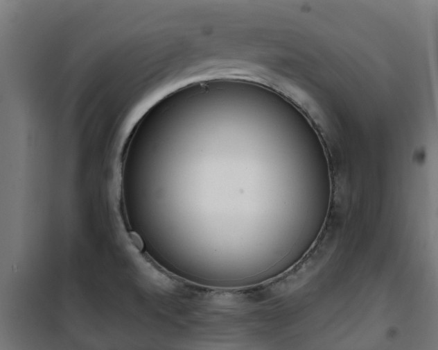 X0000101401520200807141144