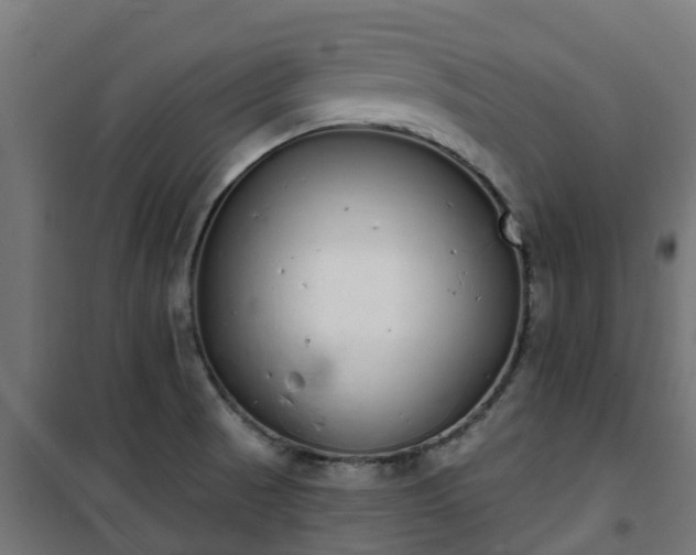 X0000101401521200807141144