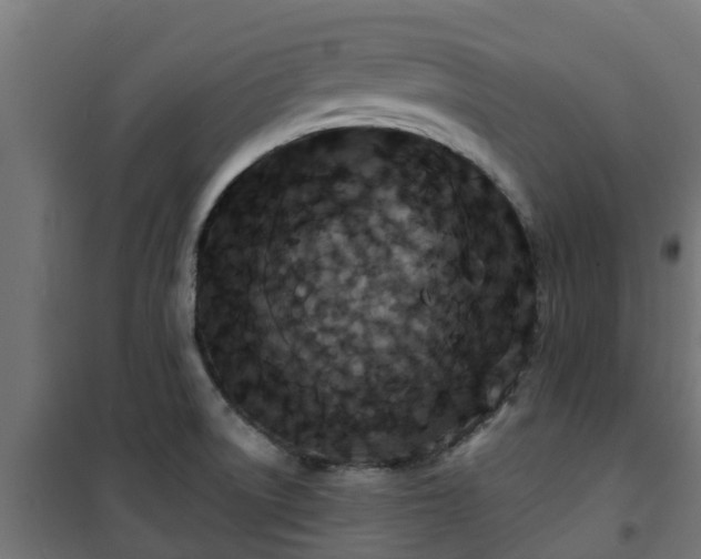 X0000101401522200807141144