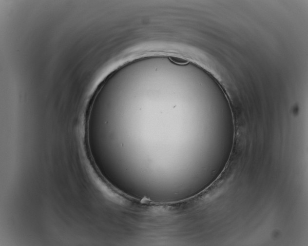 X0000101401523200807141144