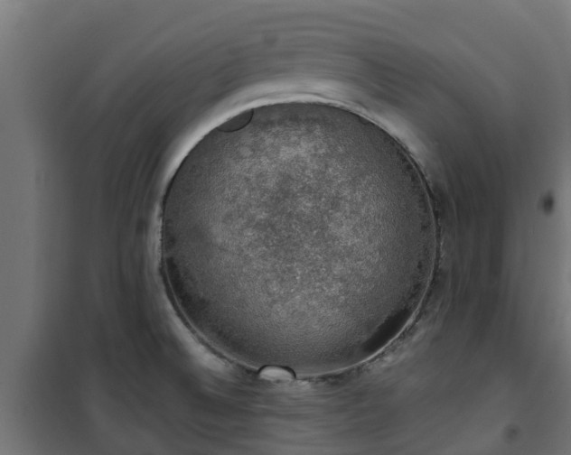 X0000101401524200807141144