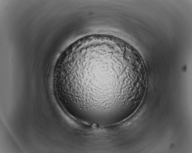 X0000101401525200807141144