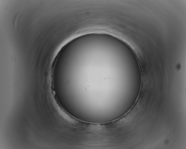 X0000101401526200807141144