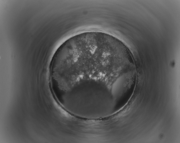 X0000101401527200807141144