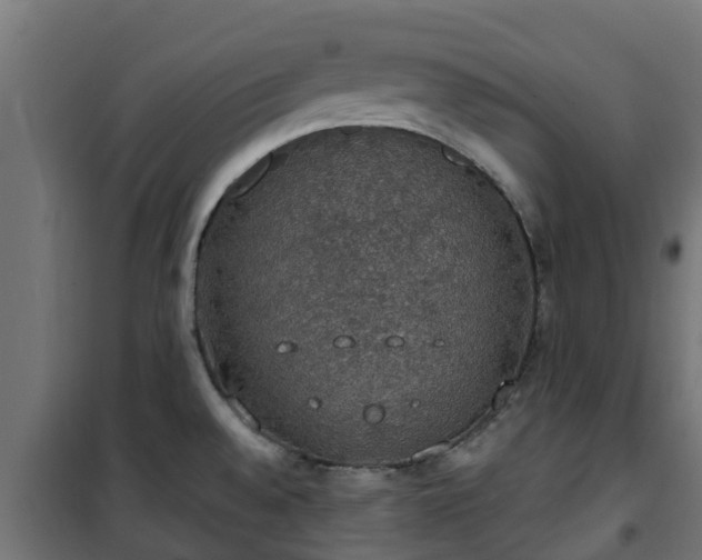 X0000101401528200807141144