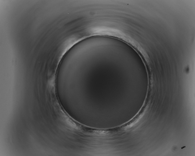 X0000101401529200807141144