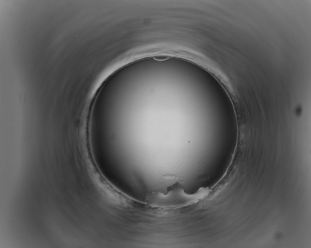 X0000101401530200807141144