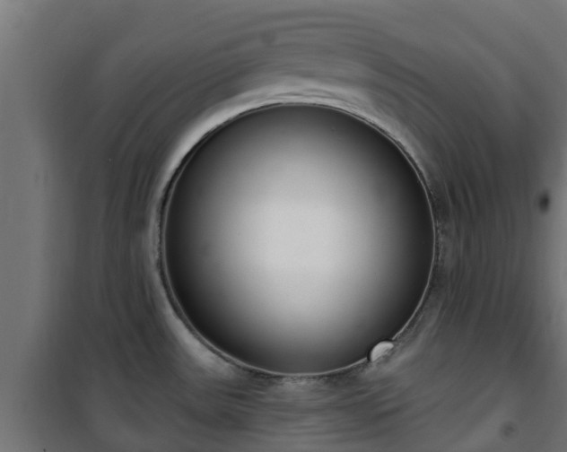 X0000101401531200807141144