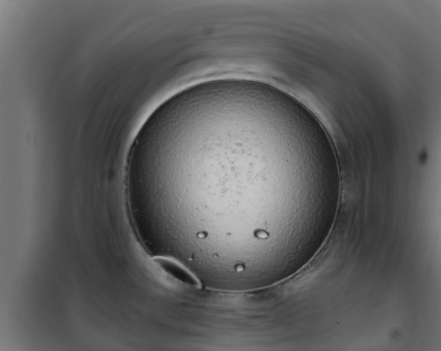 X0000101401532200807141145