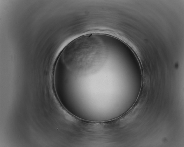 X0000101401533200807141145