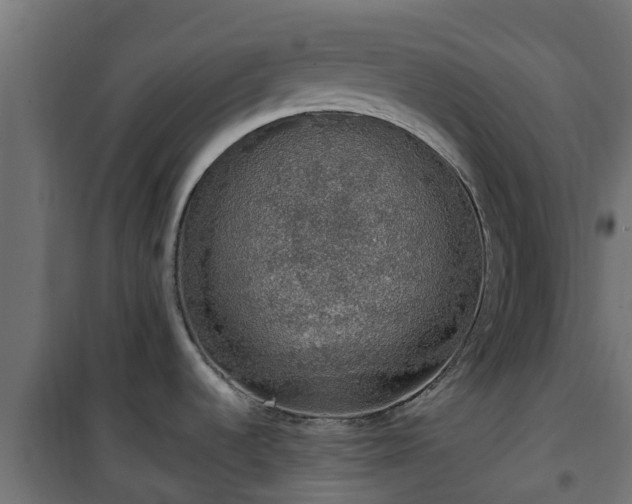 X0000101401536200807141145