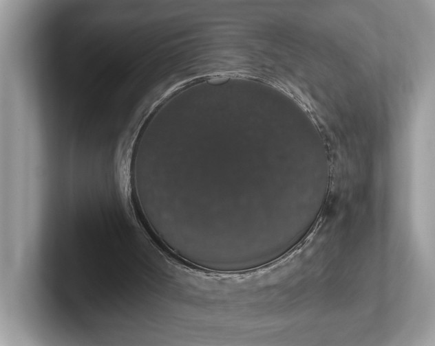 X0000101400002200807211044