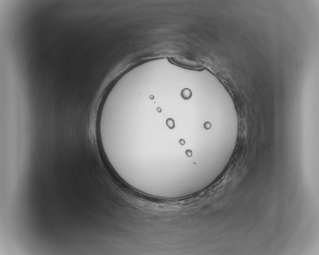 X0000101400004200807211044