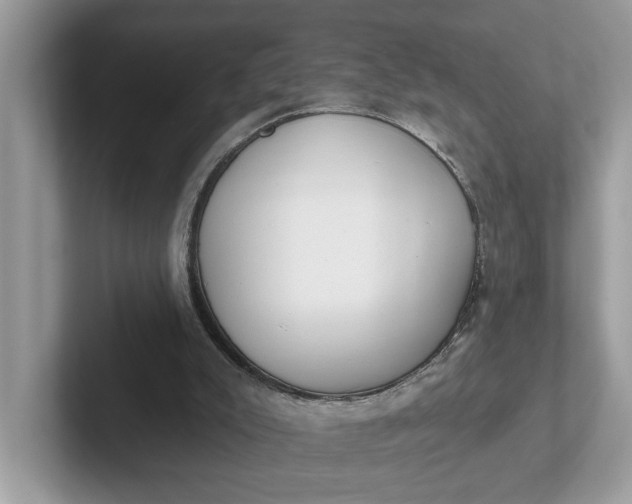 X0000101400007200807211044