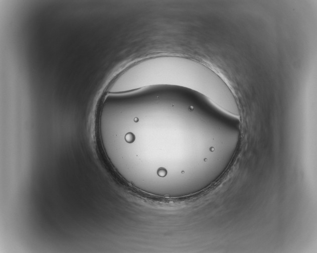 X0000101400008200807211044