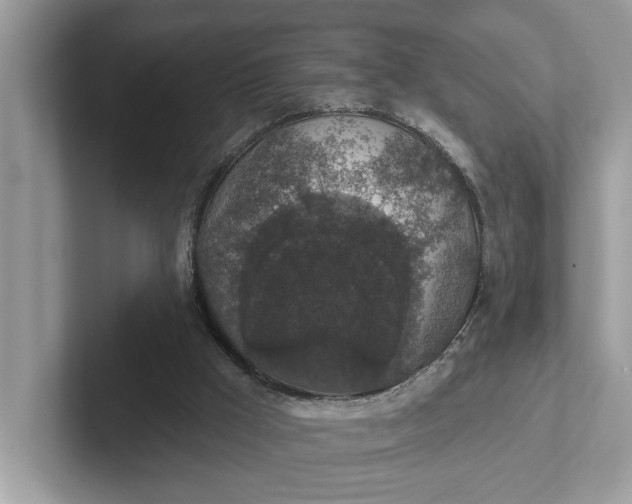 X0000101400009200807211044