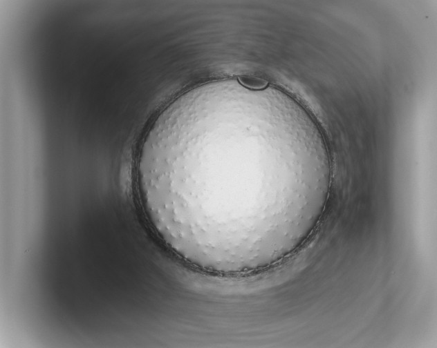 X0000101400010200807211044