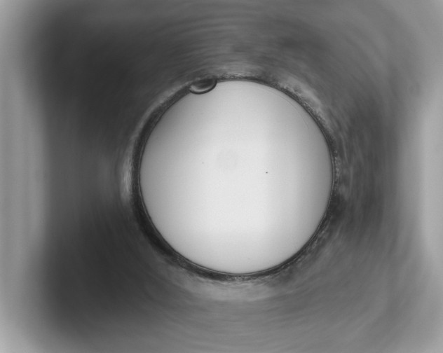 X0000101400012200807211044