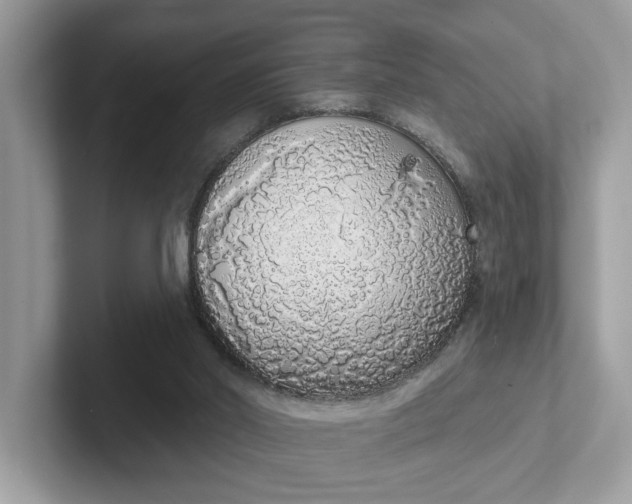 X0000101400014200807211044