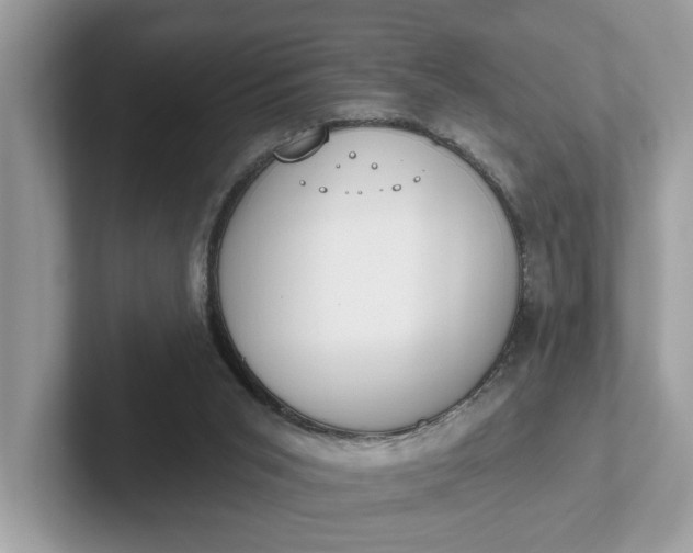 X0000101400015200807211044